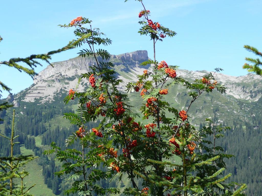 Gaestehaus Schuler Riezlern Bagian luar foto