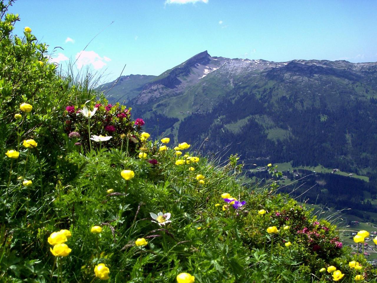 Gaestehaus Schuler Riezlern Bagian luar foto